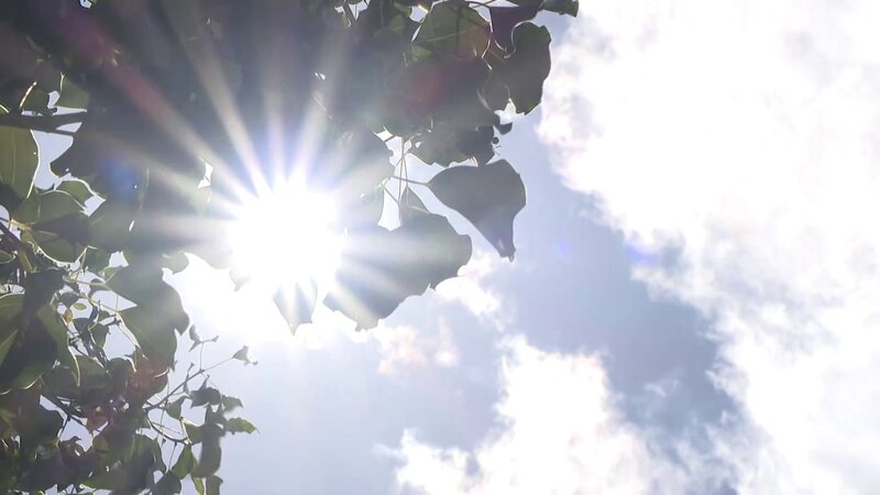 熱中症予防になる食べ物は?コンビニで買える?調理法も紹介!